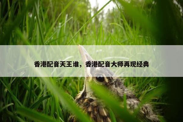 香港配音天王谁，香港配音大师再现经典