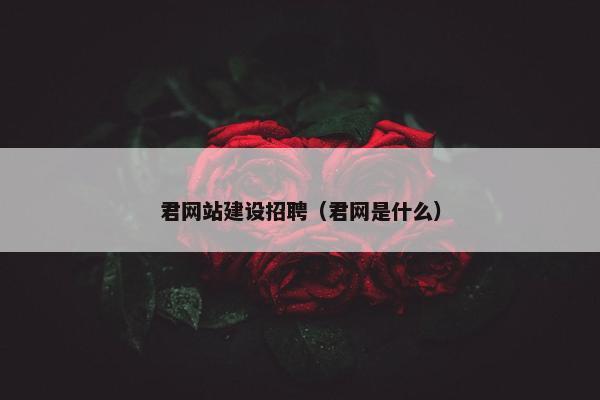 君网站建设招聘（君网是什么）