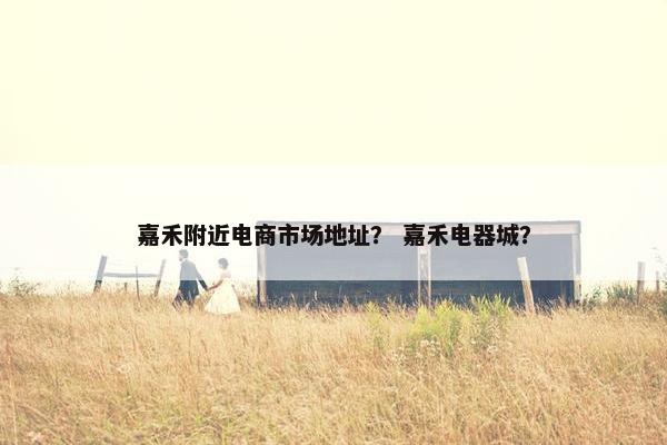 嘉禾附近电商市场地址？ 嘉禾电器城？