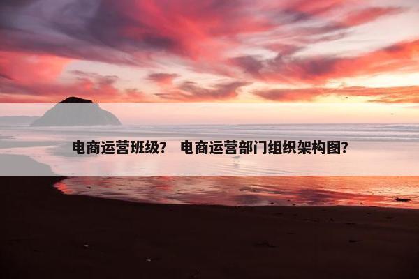 电商运营班级？ 电商运营部门组织架构图？