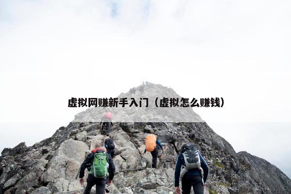 虚拟网赚新手入门（虚拟怎么赚钱）