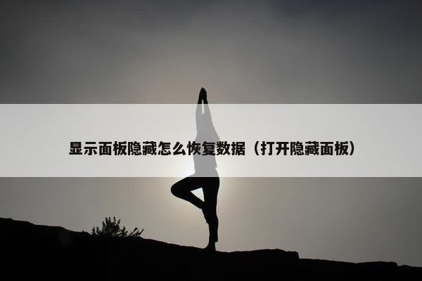 显示面板隐藏怎么恢复数据（打开隐藏面板）