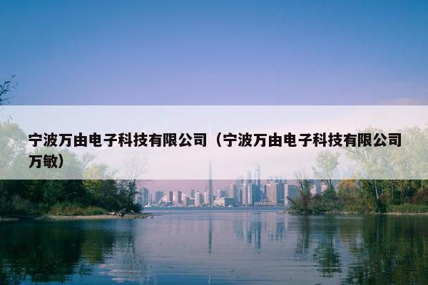 宁波万由电子科技有限公司（宁波万由电子科技有限公司万敏）