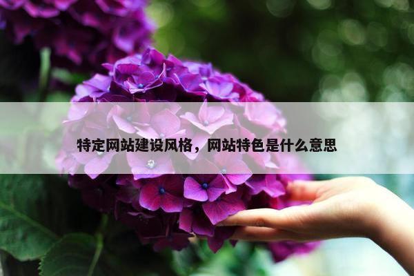 特定网站建设风格，网站特色是什么意思
