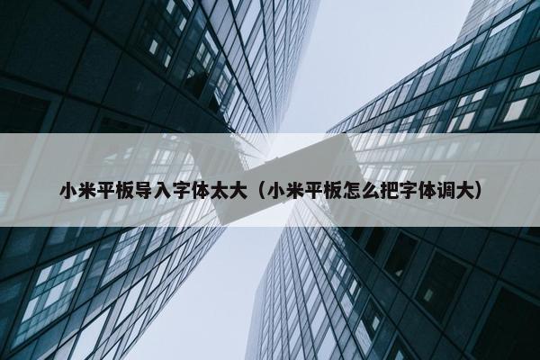 小米平板导入字体太大（小米平板怎么把字体调大）