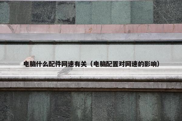 电脑什么配件网速有关（电脑配置对网速的影响）