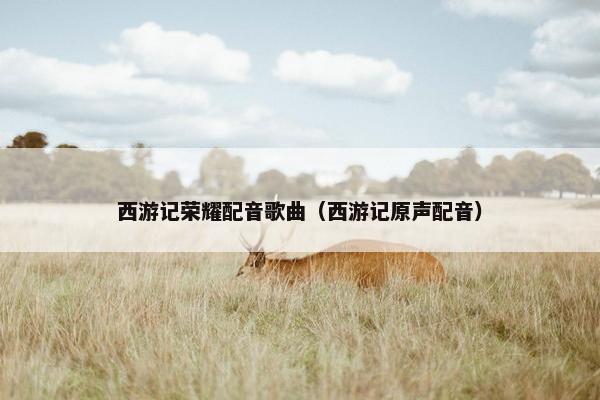 西游记荣耀配音歌曲（西游记原声配音）