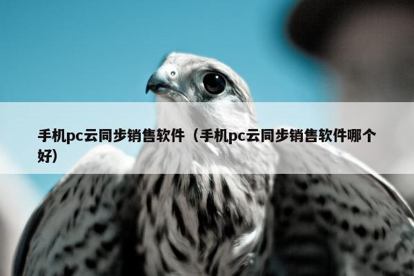 手机pc云同步销售软件（手机pc云同步销售软件哪个好）