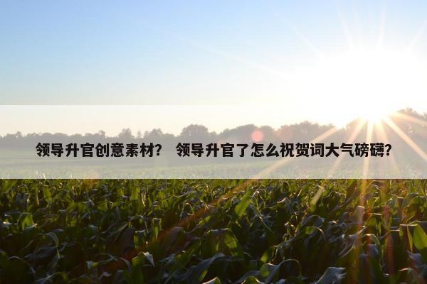 领导升官创意素材？ 领导升官了怎么祝贺词大气磅礴？