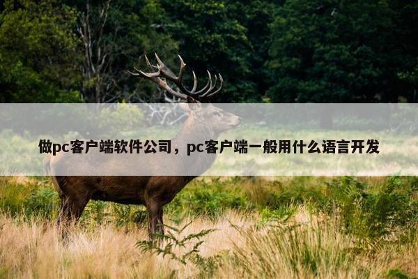 做pc客户端软件公司，pc客户端一般用什么语言开发