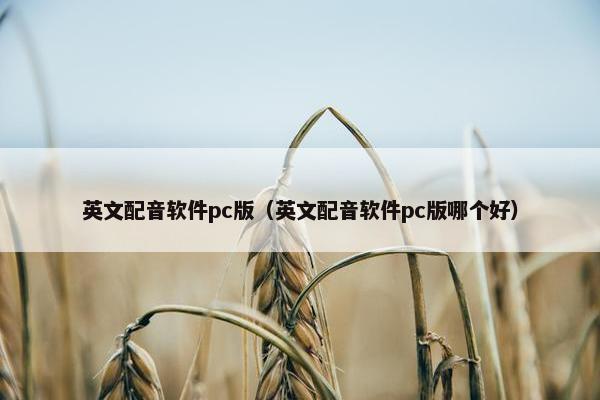 英文配音软件pc版（英文配音软件pc版哪个好）