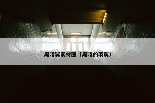 黑暗翼素材图（黑暗的羽翼）
