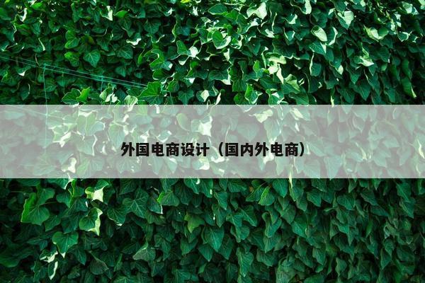外国电商设计（国内外电商）