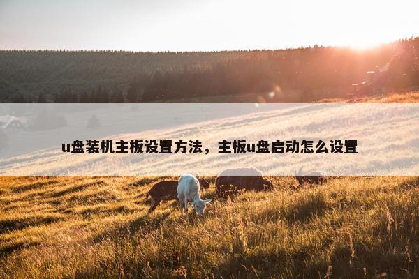 u盘装机主板设置方法，主板u盘启动怎么设置