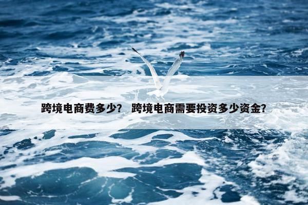跨境电商费多少？ 跨境电商需要投资多少资金？