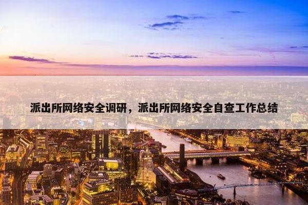 派出所网络安全调研，派出所网络安全自查工作总结