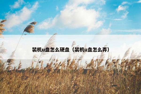 装机u盘怎么硬盘（装机u盘怎么弄）
