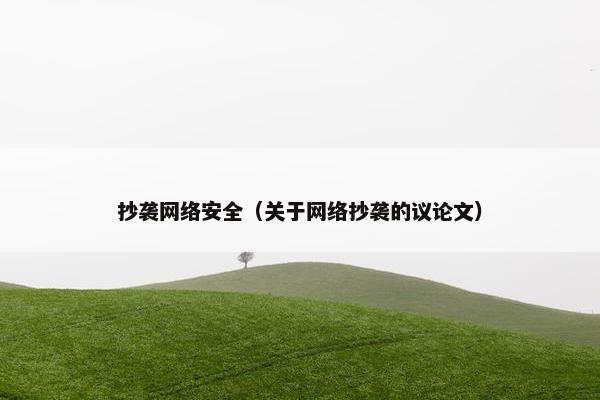 抄袭网络安全（关于网络抄袭的议论文）