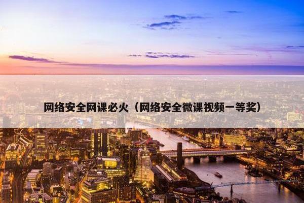 网络安全网课必火（网络安全微课视频一等奖）