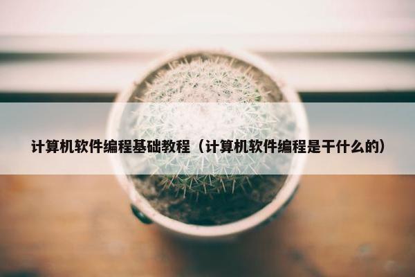 计算机软件编程基础教程（计算机软件编程是干什么的）