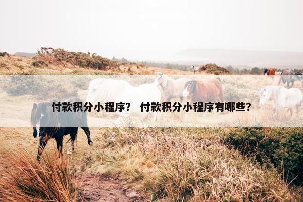 付款积分小程序？ 付款积分小程序有哪些？
