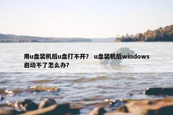 用u盘装机后u盘打不开？ u盘装机后windows启动不了怎么办？