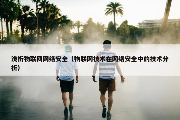 浅析物联网网络安全（物联网技术在网络安全中的技术分析）