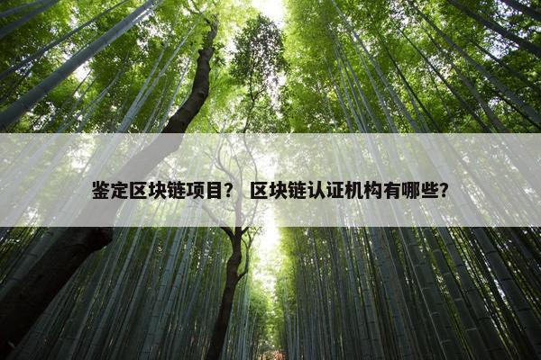 鉴定区块链项目？ 区块链认证机构有哪些？