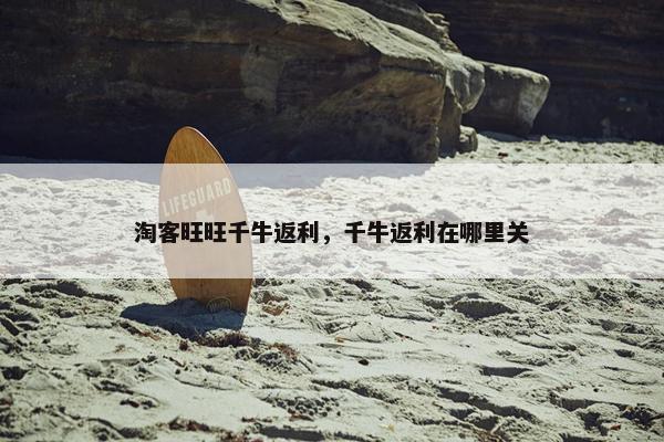 淘客旺旺千牛返利，千牛返利在哪里关