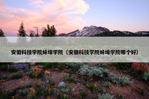 安徽科技学院蚌埠学院（安徽科技学院蚌埠学院哪个好）