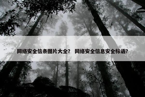 网络安全信条图片大全？ 网络安全信息安全标语？