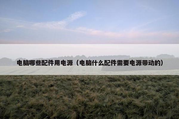 电脑哪些配件用电源（电脑什么配件需要电源带动的）