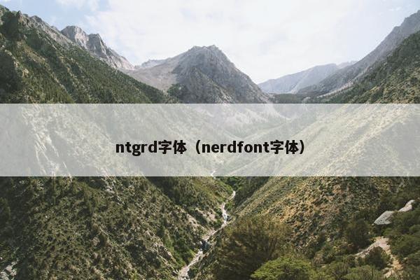 ntgrd字体（nerdfont字体）
