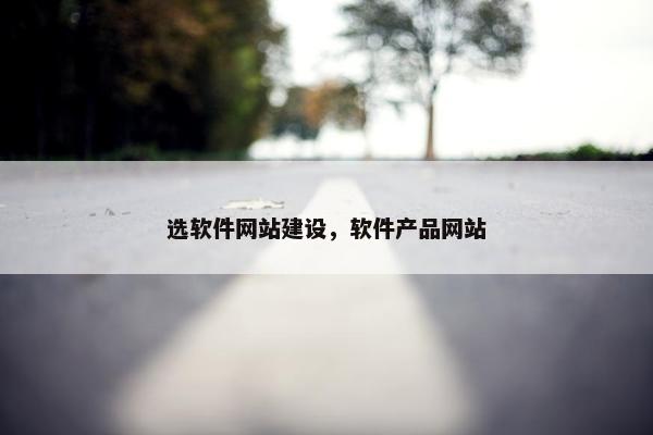 选软件网站建设，软件产品网站