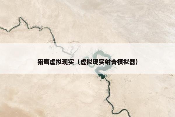 猎鹰虚拟现实（虚拟现实射击模拟器）