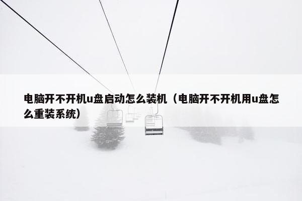 电脑开不开机u盘启动怎么装机（电脑开不开机用u盘怎么重装系统）