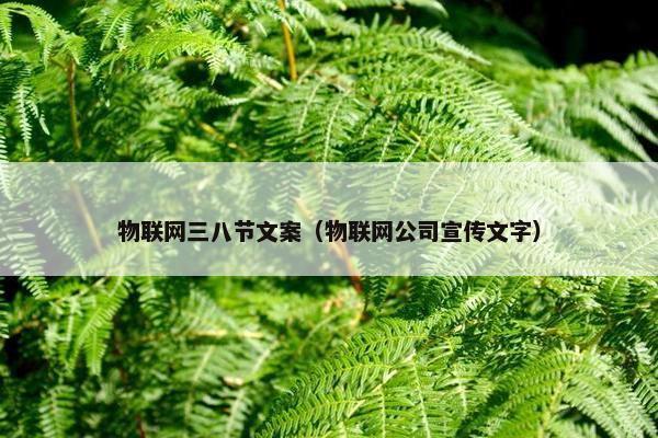 物联网三八节文案（物联网公司宣传文字）