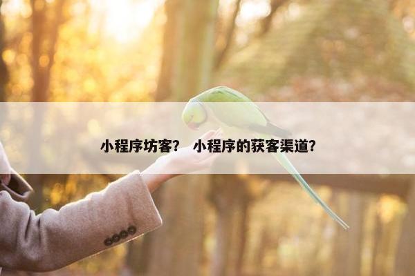 小程序坊客？ 小程序的获客渠道？