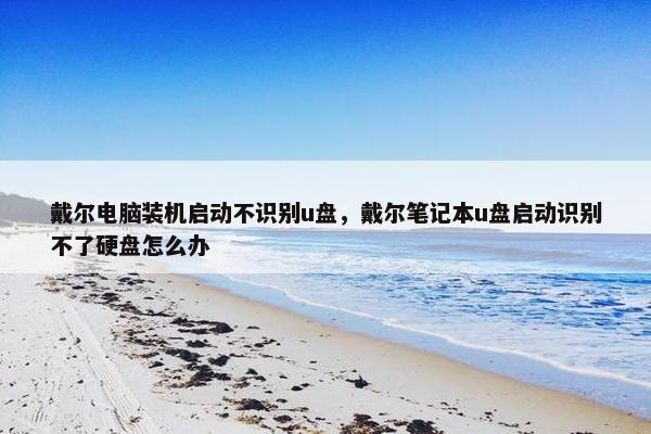 戴尔电脑装机启动不识别u盘，戴尔笔记本u盘启动识别不了硬盘怎么办