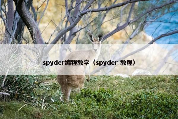 spyder编程教学（spyder 教程）
