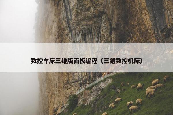 数控车床三维版面板编程（三维数控机床）