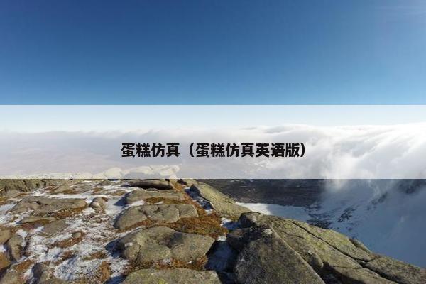 蛋糕仿真（蛋糕仿真英语版）