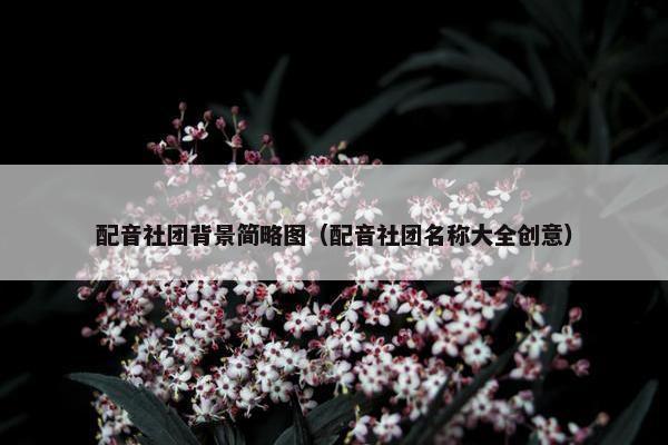 配音社团背景简略图（配音社团名称大全创意）
