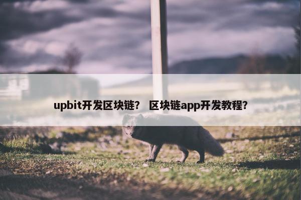 upbit开发区块链？ 区块链app开发教程？