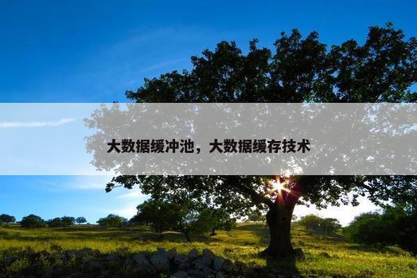 大数据缓冲池，大数据缓存技术