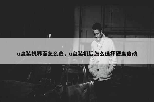 u盘装机界面怎么选，u盘装机后怎么选择硬盘启动