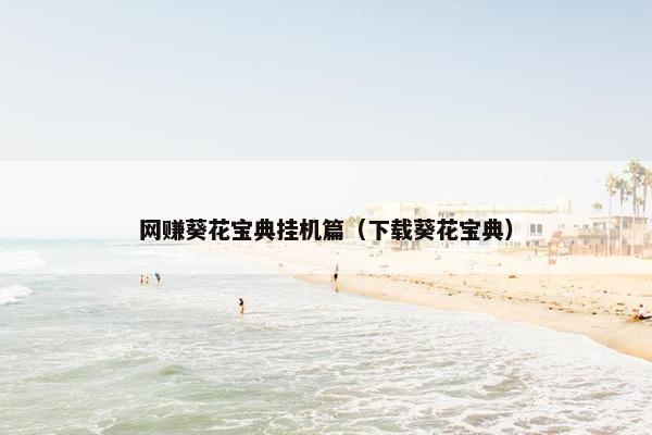 网赚葵花宝典挂机篇（下载葵花宝典）