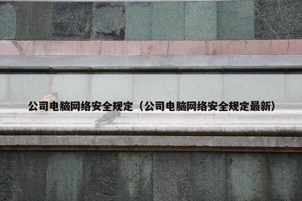 公司电脑网络安全规定（公司电脑网络安全规定最新）