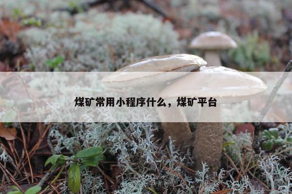 煤矿常用小程序什么，煤矿平台