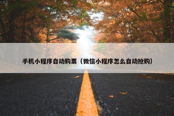 手机小程序自动购票（微信小程序怎么自动抢购）